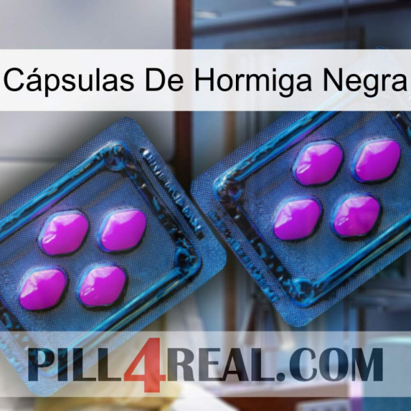 Cápsulas De Hormiga Negra 03.jpg